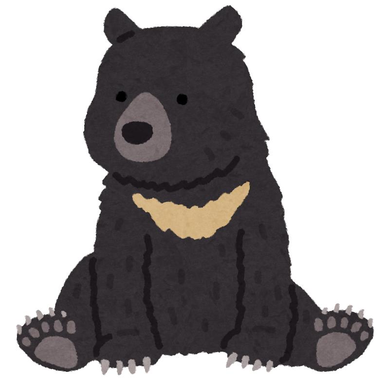 クマ