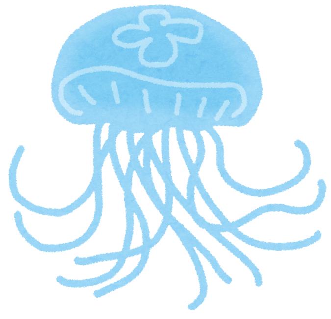 クラゲ