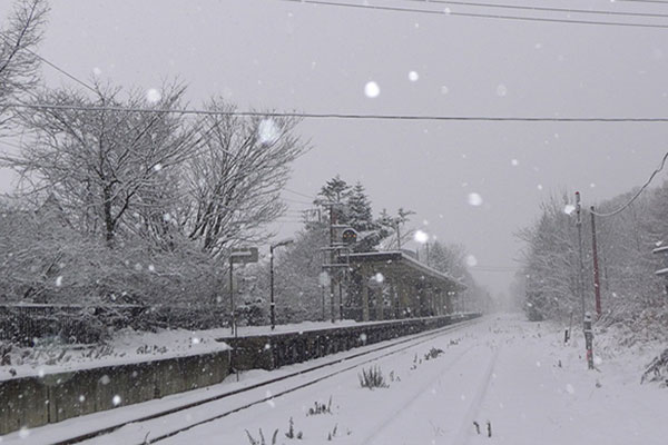 冬の雪