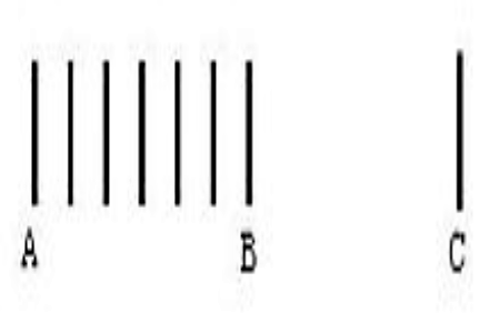 どっちの線が長い 科学の力で目をあざむく 錯視 クイズ