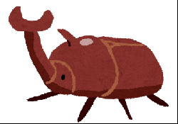 カブトムシ