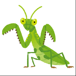 カマキリ