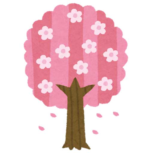 サクラ