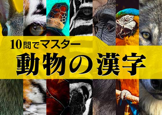 10問でマスター Vol 16 動物の漢字q