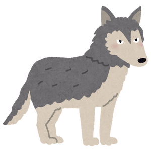 狼