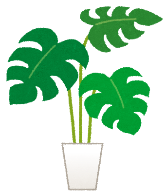 植物の繊維