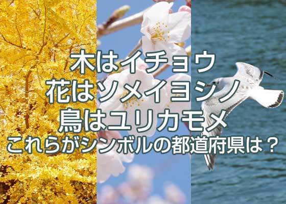 郷土愛 あなたの県のシンボルは 県の木 花 鳥クイズ 地理