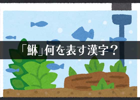 鮴 鰾 この魚へんの漢字は 魚を表してる 二択だギョ