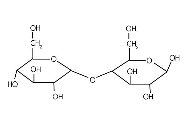 ニワカ理系お断り 化学クイズ この構造式は何 この際勘でも