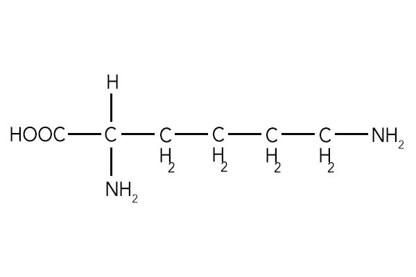 ニワカ理系お断り 化学クイズ この構造式は何 この際勘でも