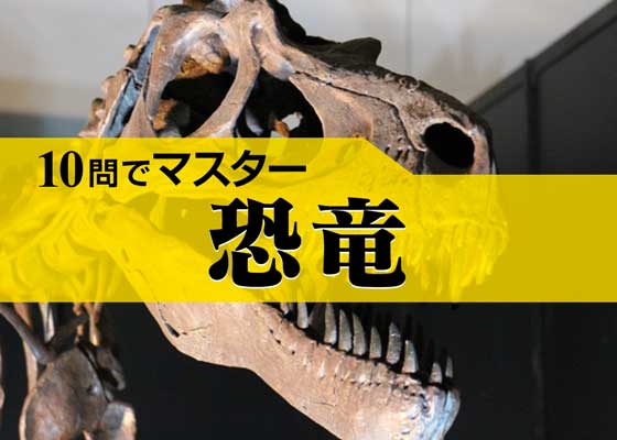 10問でマスター Vol 68 恐竜q