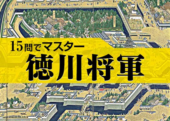 10問でマスター番外編 15問でマスター 徳川将軍q