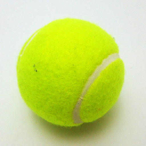 身近なもののサイズ ちゃんとわかる 日常観察力クイズ