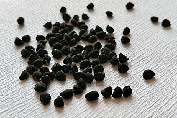 絶対間違えられない 小学校で習う 花 クイズ 小学生なら満点