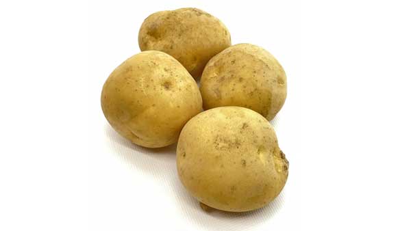 ブロッコリーの 食べるとこ 植物の何の部分 地味ムズ野菜クイズ ブロッコリーの 食べるとこ 植物の何の部分 地味ムズ野菜クイズ